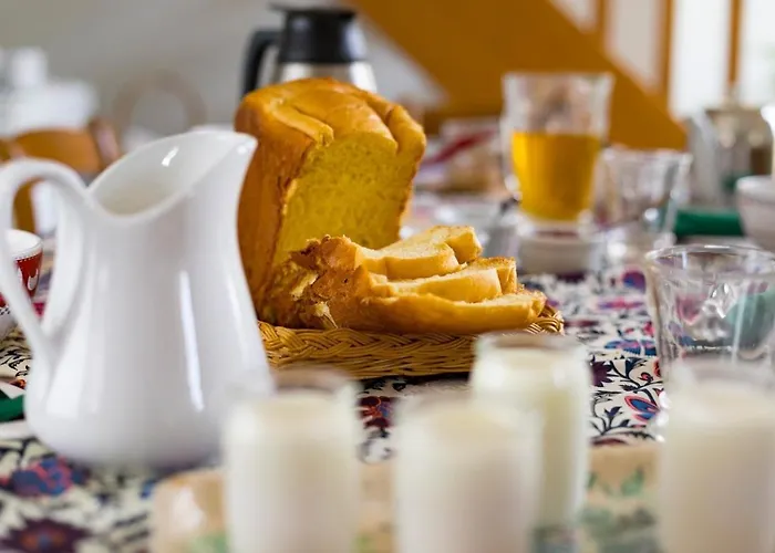 Dhotes Jolie Vache Deguisee En Fleur 招待所