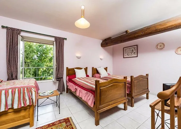 Dhotes Jolie Vache Deguisee En Fleur 招待所